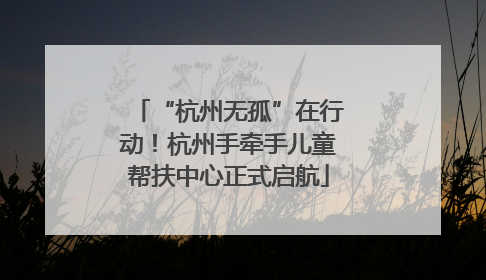 “杭州无孤”在行动！杭州手牵手儿童帮扶中心正式启航