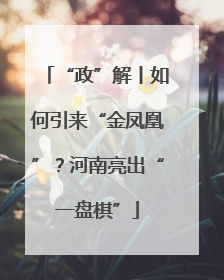 “政”解丨如何引来“金凤凰”？河南亮出“一盘棋”