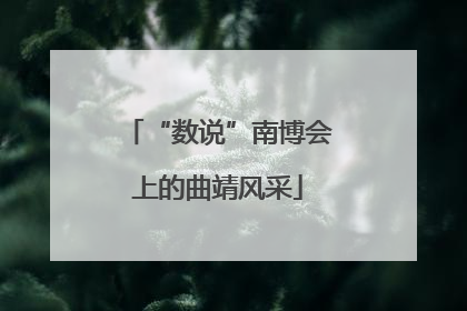 “数说”南博会上的曲靖风采