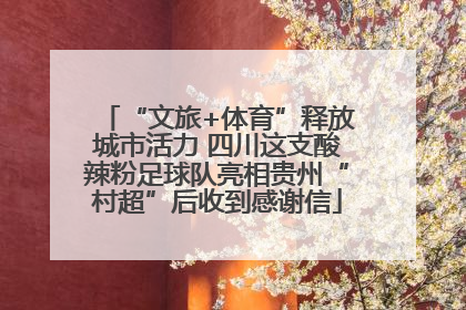 “文旅+体育”释放城市活力 四川这支酸辣粉足球队亮相贵州“村超”后收到感谢信
