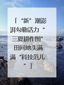 “新”潮澎湃勾勒活力“三夏耕作图” 田间地头满满“科技范儿”