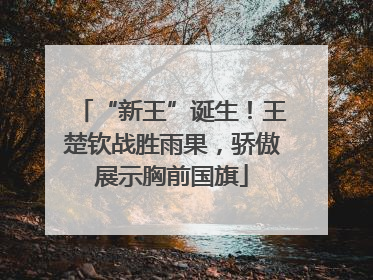 “新王”诞生！王楚钦战胜雨果，骄傲展示胸前国旗