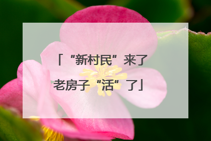 “新村民”来了 老房子“活”了