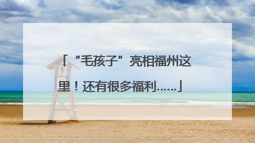 “毛孩子”亮相福州这里！还有很多福利……
