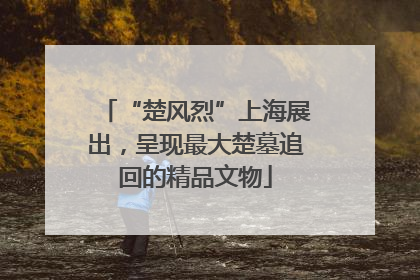 “楚风烈”上海展出，呈现最大楚墓追回的精品文物