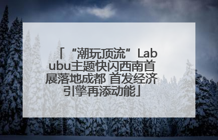 “潮玩顶流”Labubu主题快闪西南首展落地成都 首发经济引擎再添动能