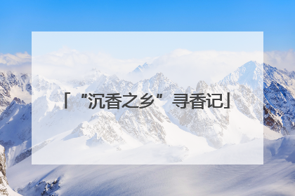 “沉香之乡”寻香记