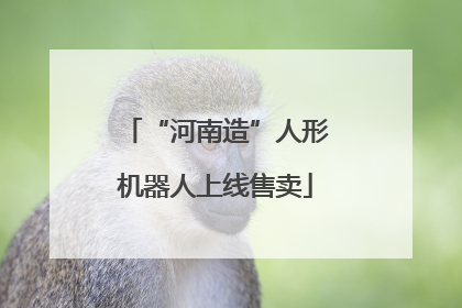 “河南造”人形机器人上线售卖
