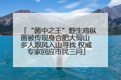 “菌中之王”野生鸡枞菌被传现身合肥大蜀山 多人跟风入山寻找 权威专家回应市民三问
