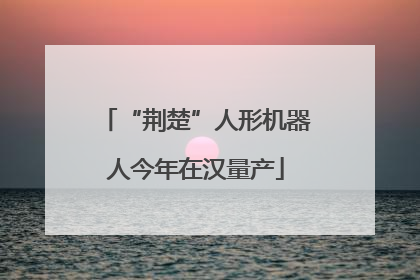 “荆楚”人形机器人今年在汉量产