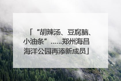 “胡辣汤、豆腐脑、小油条”……郑州海昌海洋公园再添新成员
