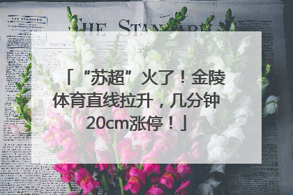 “苏超”火了！金陵体育直线拉升，几分钟20cm涨停！
