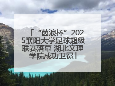 “茵浪杯”2025襄阳大学足球超级联赛落幕 湖北文理学院成功卫冕