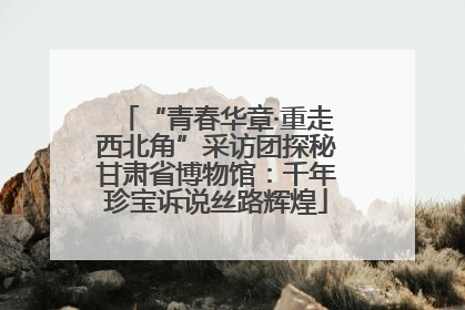 “青春华章·重走西北角”采访团探秘甘肃省博物馆：千年珍宝诉说丝路辉煌
