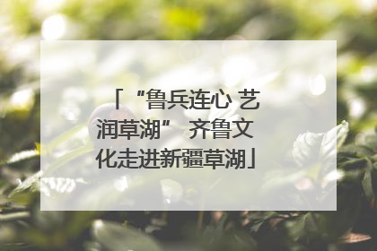 “鲁兵连心 艺润草湖” 齐鲁文化走进新疆草湖