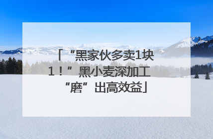 “黑家伙多卖1块1！”黑小麦深加工“磨”出高效益