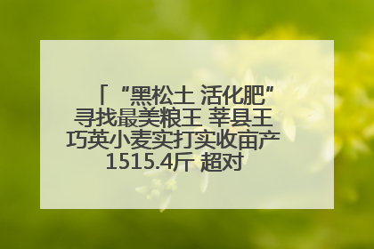 “黑松土 活化肥”寻找最美粮王 莘县王巧英小麦实打实收亩产1515.4斤 超对照田144斤！