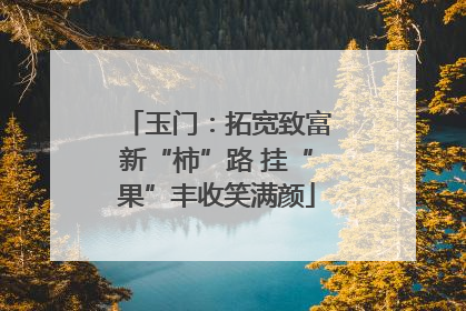 玉门：拓宽致富新“柿”路 挂“果”丰收笑满颜