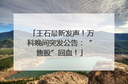 王石最新发声！万科晚间突发公告：“售股”回血！