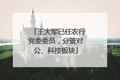 王大军已任农行党委委员，分管对公、科技板块