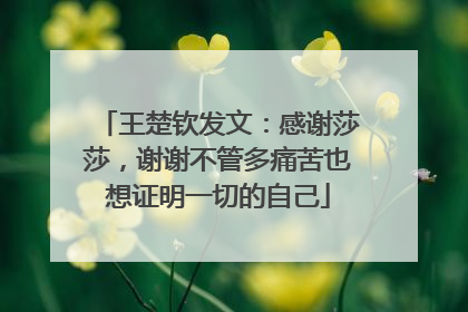 王楚钦发文：感谢莎莎，谢谢不管多痛苦也想证明一切的自己