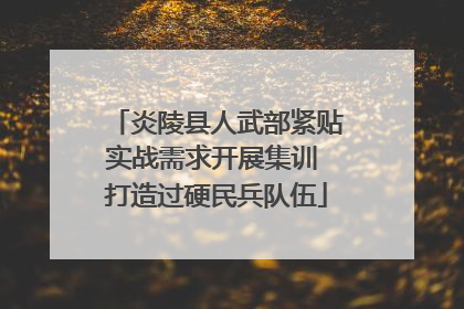 炎陵县人武部紧贴实战需求开展集训 打造过硬民兵队伍