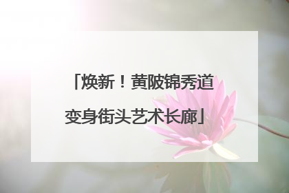 焕新！黄陂锦秀道变身街头艺术长廊