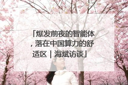 爆发前夜的智能体，落在中国算力的舒适区｜海斌访谈