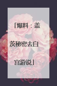 爆料：盖茨秘密去白宫游说