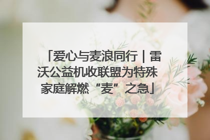 爱心与麦浪同行｜雷沃公益机收联盟为特殊家庭解燃“麦”之急