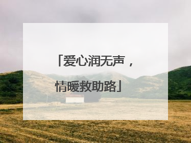 爱心润无声，情暖救助路