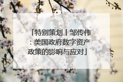 特别策划丨邹传伟：美国政府数字资产政策的影响与应对