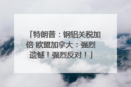 特朗普：钢铝关税加倍 欧盟加拿大：强烈遗憾！强烈反对！