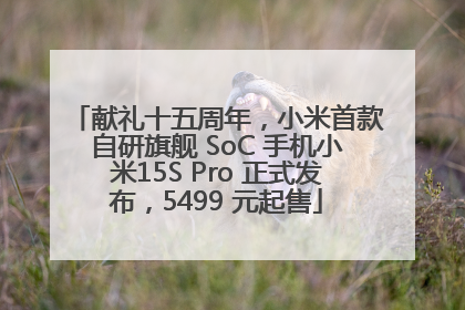 献礼十五周年，小米首款自研旗舰 SoC 手机小米15S Pro 正式发布，5499 元起售