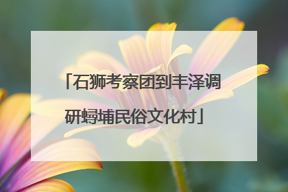 石狮考察团到丰泽调研蟳埔民俗文化村
