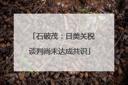 石破茂：日美关税谈判尚未达成共识