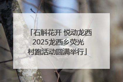石斛花开 悦动龙西 2025龙西乡荧光村跑活动圆满举行