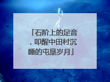 石阶上的足音，叩醒中田村沉睡的屯垦岁月