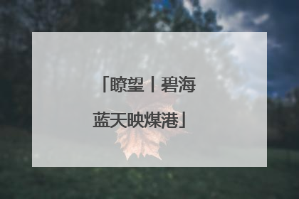 瞭望丨碧海蓝天映煤港