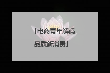 电商青年解码品质新消费
