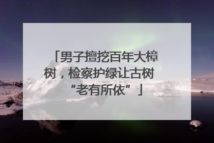 男子擅挖百年大樟树，检察护绿让古树“老有所依”