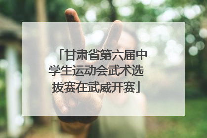 甘肃省第六届中学生运动会武术选拔赛在武威开赛