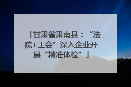 甘肃省肃南县：“法院+工会”深入企业开展“精准体检”