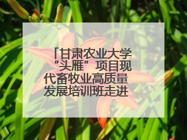 甘肃农业大学“头雁”项目现代畜牧业高质量发展培训班走进榆林榆阳区
