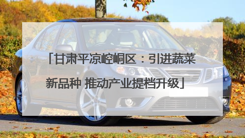 甘肃平凉崆峒区：引进蔬菜新品种 推动产业提档升级