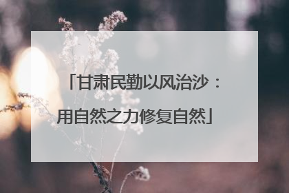 甘肃民勤以风治沙：用自然之力修复自然
