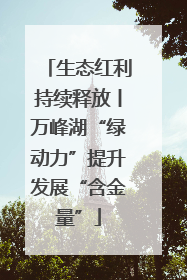 生态红利持续释放丨万峰湖“绿动力”提升发展“含金量”