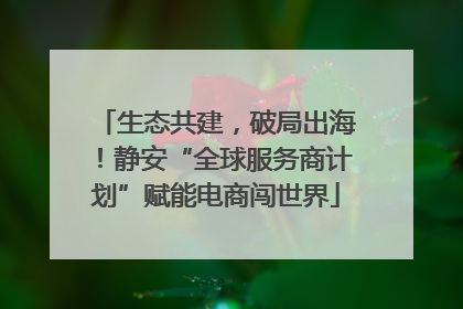 生态共建，破局出海！静安“全球服务商计划”赋能电商闯世界