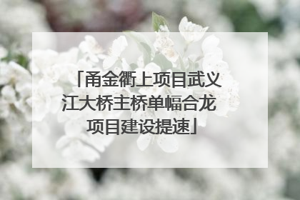甬金衢上项目武义江大桥主桥单幅合龙 项目建设提速