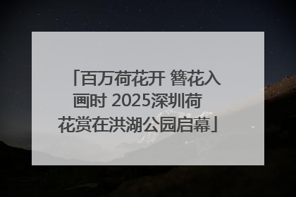 百万荷花开 簪花入画时 2025深圳荷花赏在洪湖公园启幕
